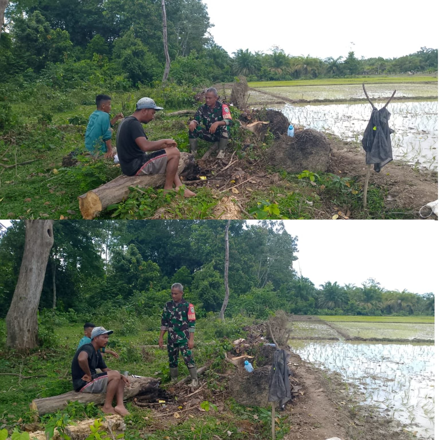 Duduk Bersama Petani di Ladang, Babinsa Kodim 0105/Aceh Barat Serap Aspirasi Warga