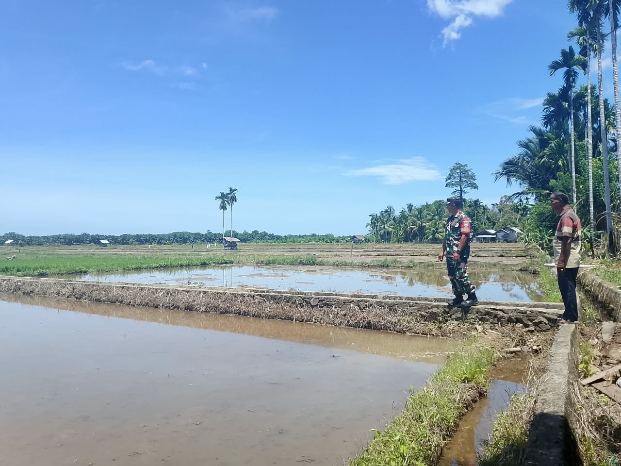 Babinsa Koramil 05/Panga Dampingi Poktan Cot Mane Siapkan Lahan untuk Tanam Padi