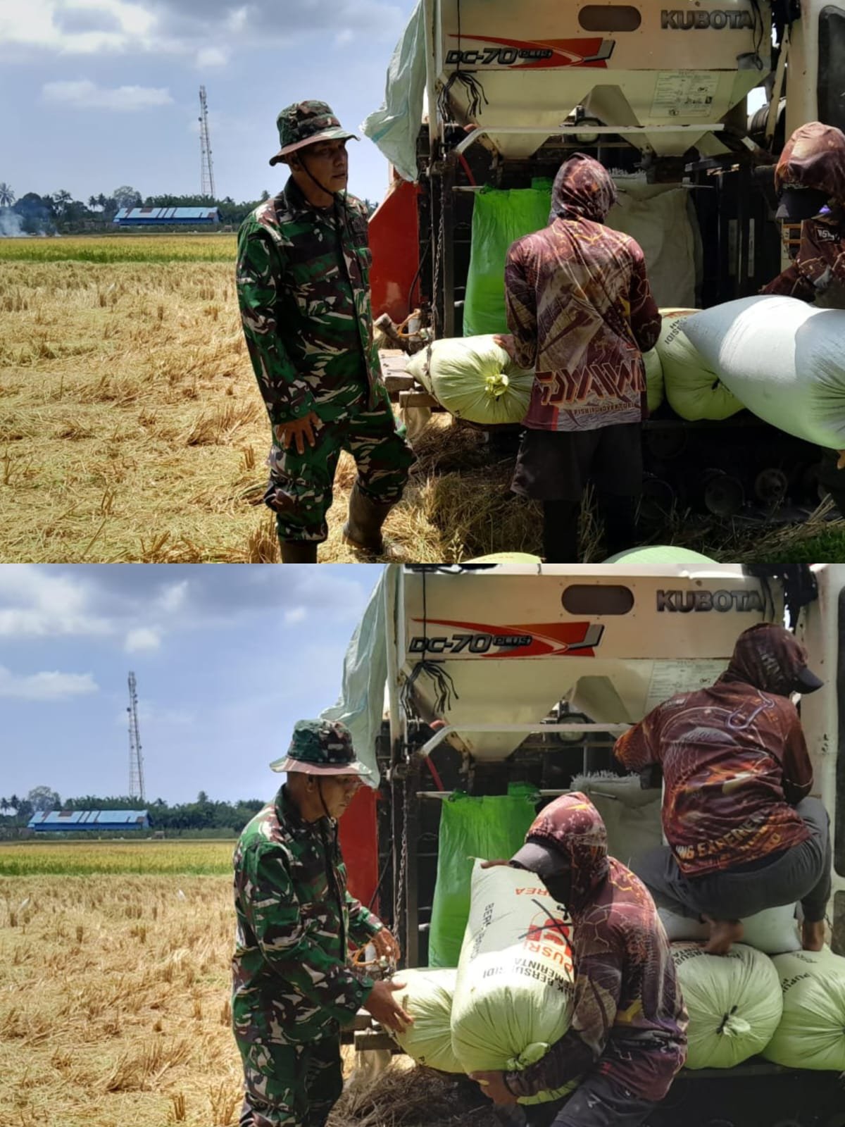 Pascapanen Padi di Desa Beuregang, Babinsa Kodim 0105/Aceh Barat Ikut Membantu Pemuatan Gabah
